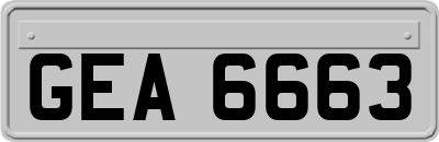 GEA6663
