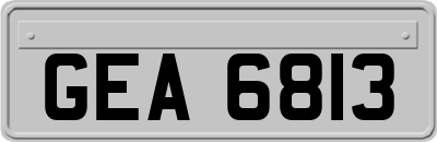 GEA6813