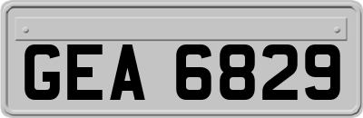 GEA6829