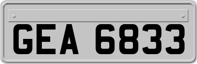 GEA6833