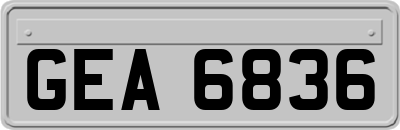 GEA6836