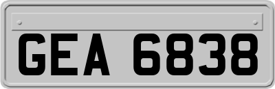GEA6838