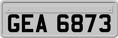 GEA6873