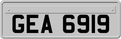 GEA6919