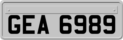 GEA6989