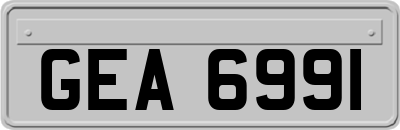 GEA6991