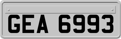 GEA6993