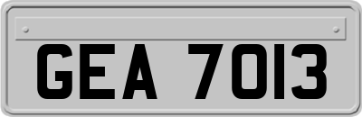 GEA7013