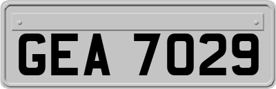 GEA7029