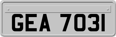 GEA7031