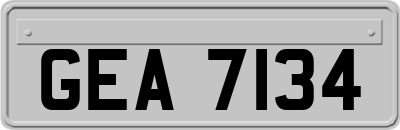 GEA7134