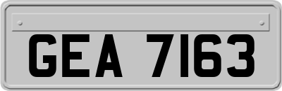 GEA7163