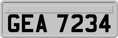 GEA7234