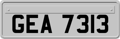 GEA7313