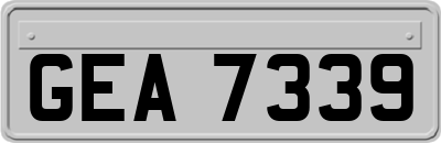 GEA7339