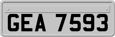 GEA7593