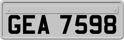GEA7598