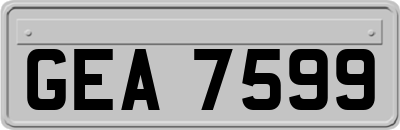 GEA7599