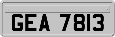 GEA7813