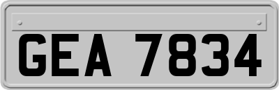 GEA7834