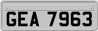 GEA7963