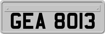 GEA8013