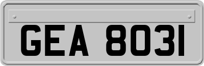 GEA8031