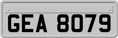 GEA8079