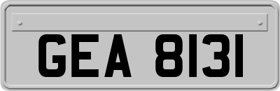 GEA8131