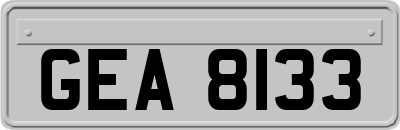 GEA8133
