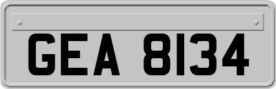 GEA8134