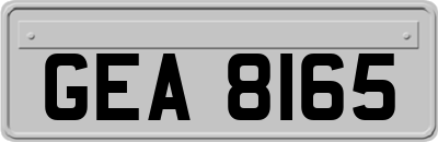 GEA8165