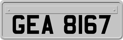 GEA8167