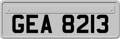 GEA8213