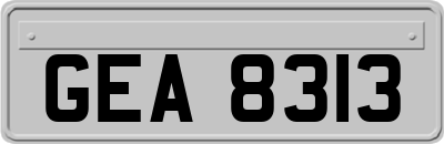 GEA8313