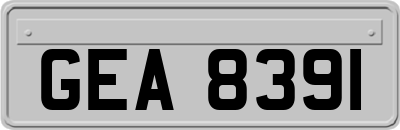 GEA8391