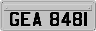 GEA8481