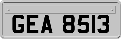 GEA8513