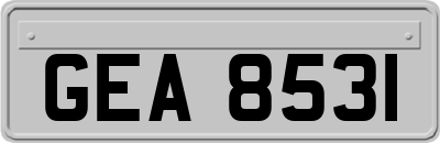 GEA8531