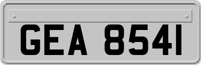 GEA8541