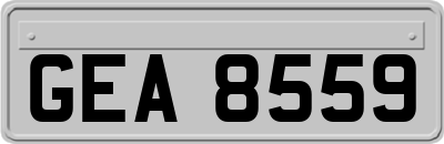 GEA8559