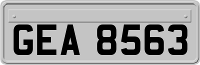 GEA8563
