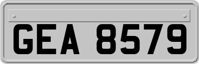 GEA8579