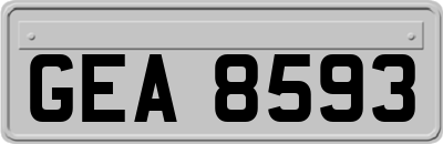 GEA8593