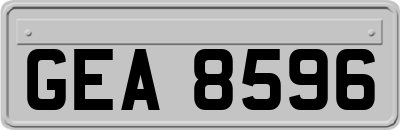 GEA8596