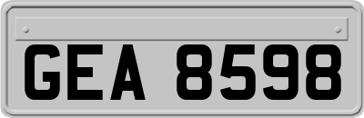GEA8598