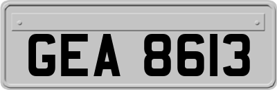 GEA8613
