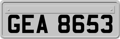 GEA8653