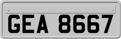 GEA8667