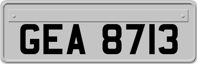 GEA8713